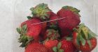 Woman charged over Australia strawberry needle scare