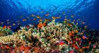 The world's oceans are warming faster than predicted