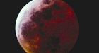 Perfect night predicted for lunar eclipse