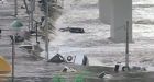 Tsunami debris could reach B.C. any day now