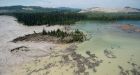 Mount Polley mine spill: fish safe to eat, water ban mostly lifted