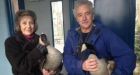 Bert and Ernie released back into the wild