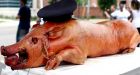 Ferguson protesters march one year after death of Michael Brown with pig's head | Daily Mail Online