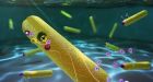 Scientists achieve perfect efficiency for water-splitting half-reaction