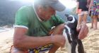 Penguin travels over 8,000 km every year to visit man who rescued him