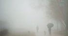 Cold snap has some Canadians asking: where's spring'